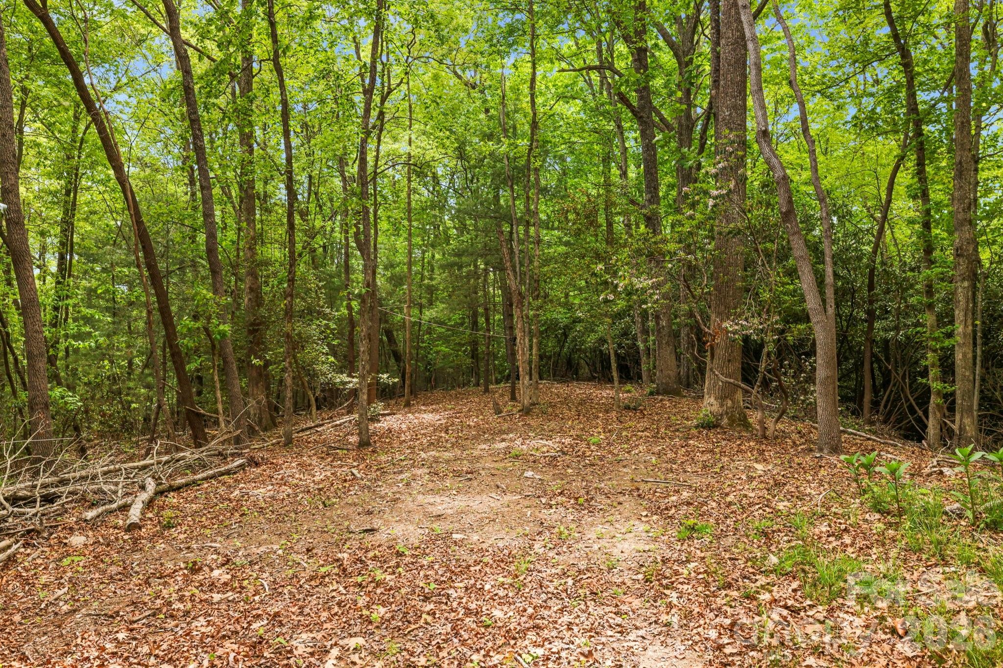 137 Bird Song Road Penrose NC 28766