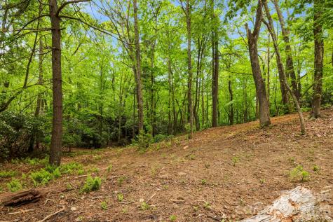 137 Bird Song Road Penrose NC 28766