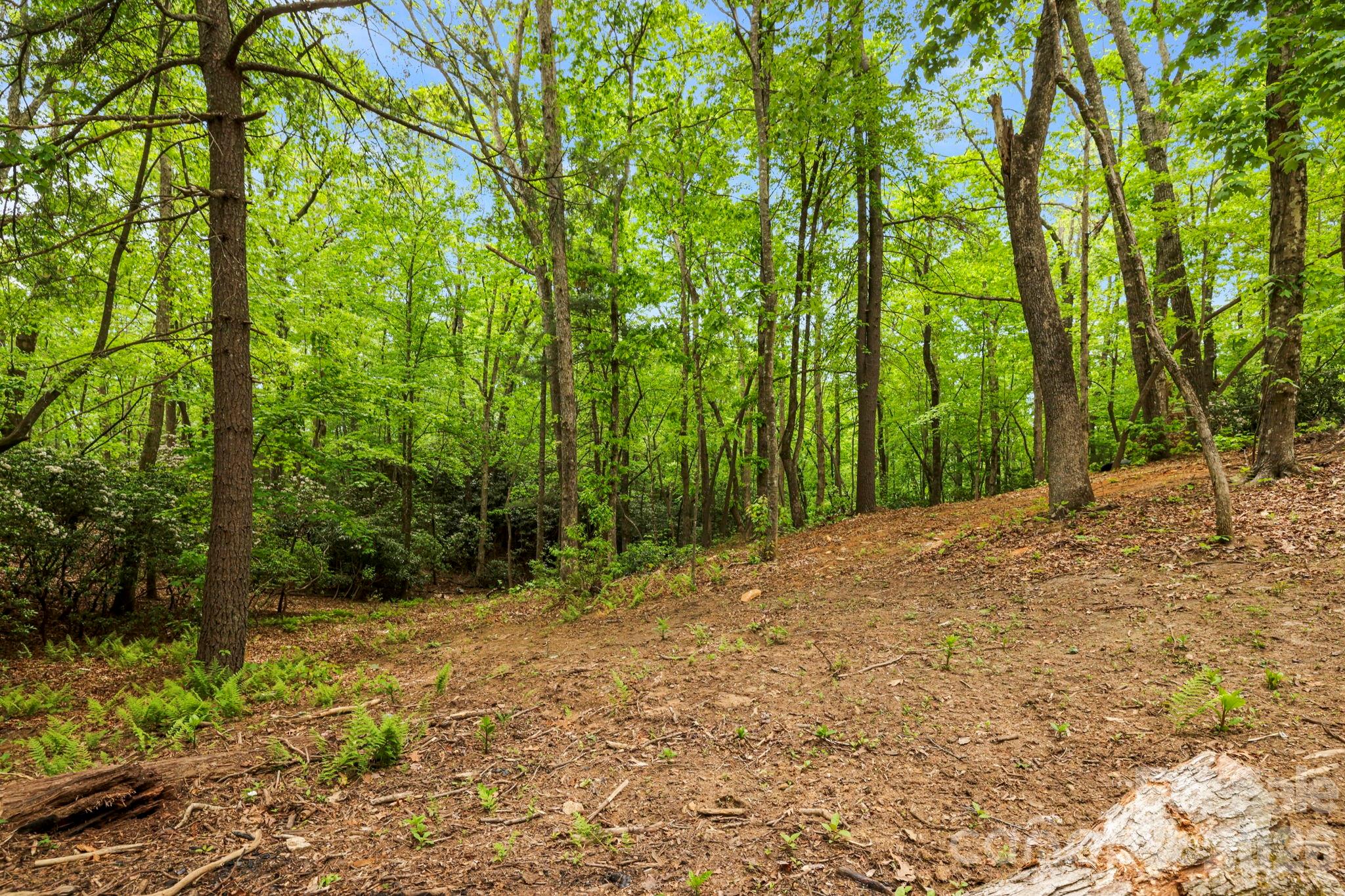 137 Bird Song Road Penrose NC 28766