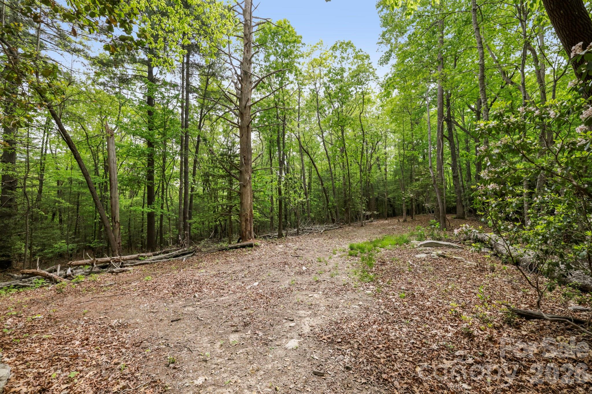 137 Bird Song Road Penrose NC 28766