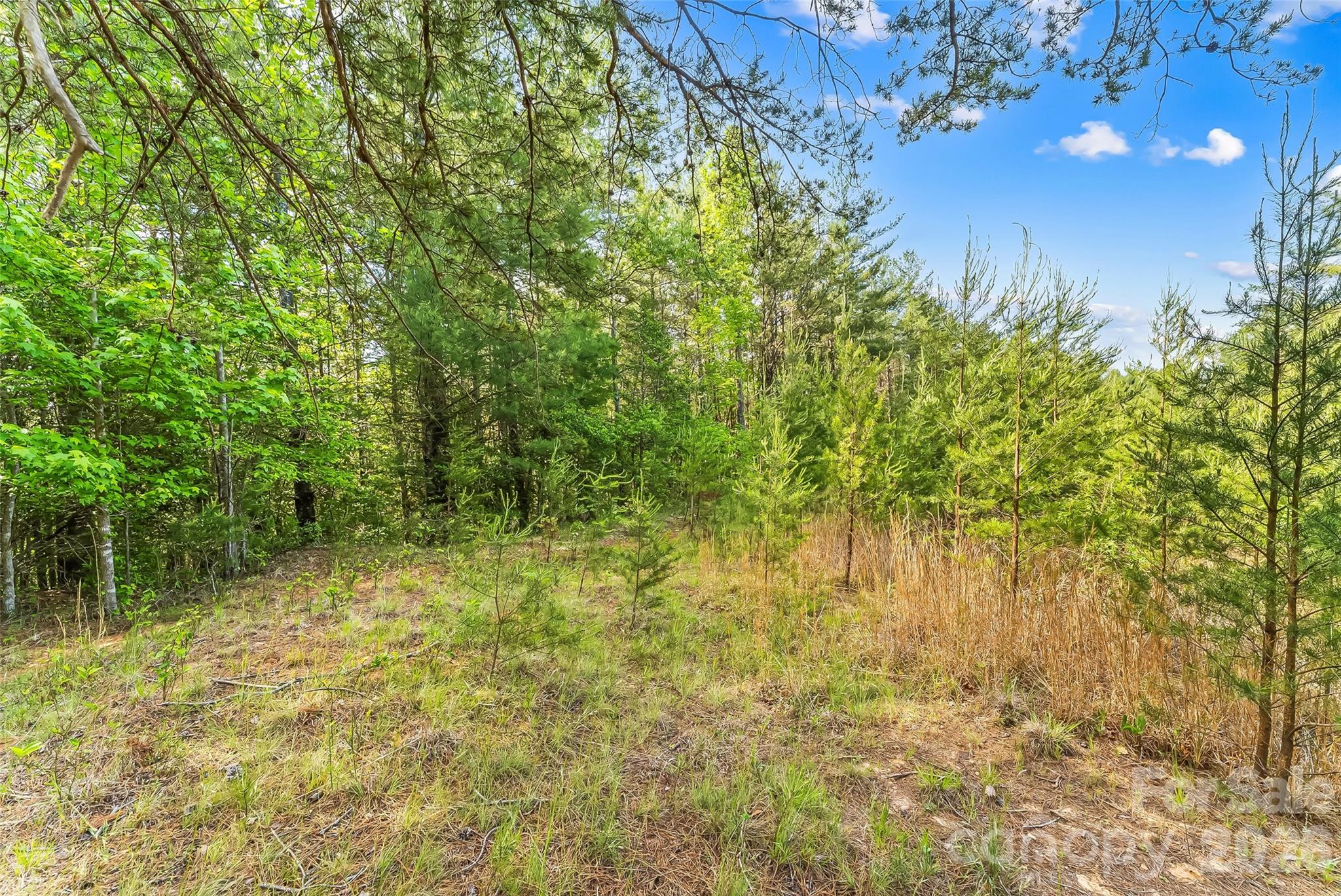 3345 Ella Marie Way Nebo NC 28761