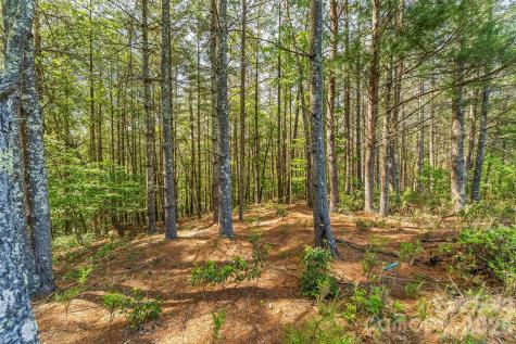 3345 Ella Marie Way Nebo NC 28761