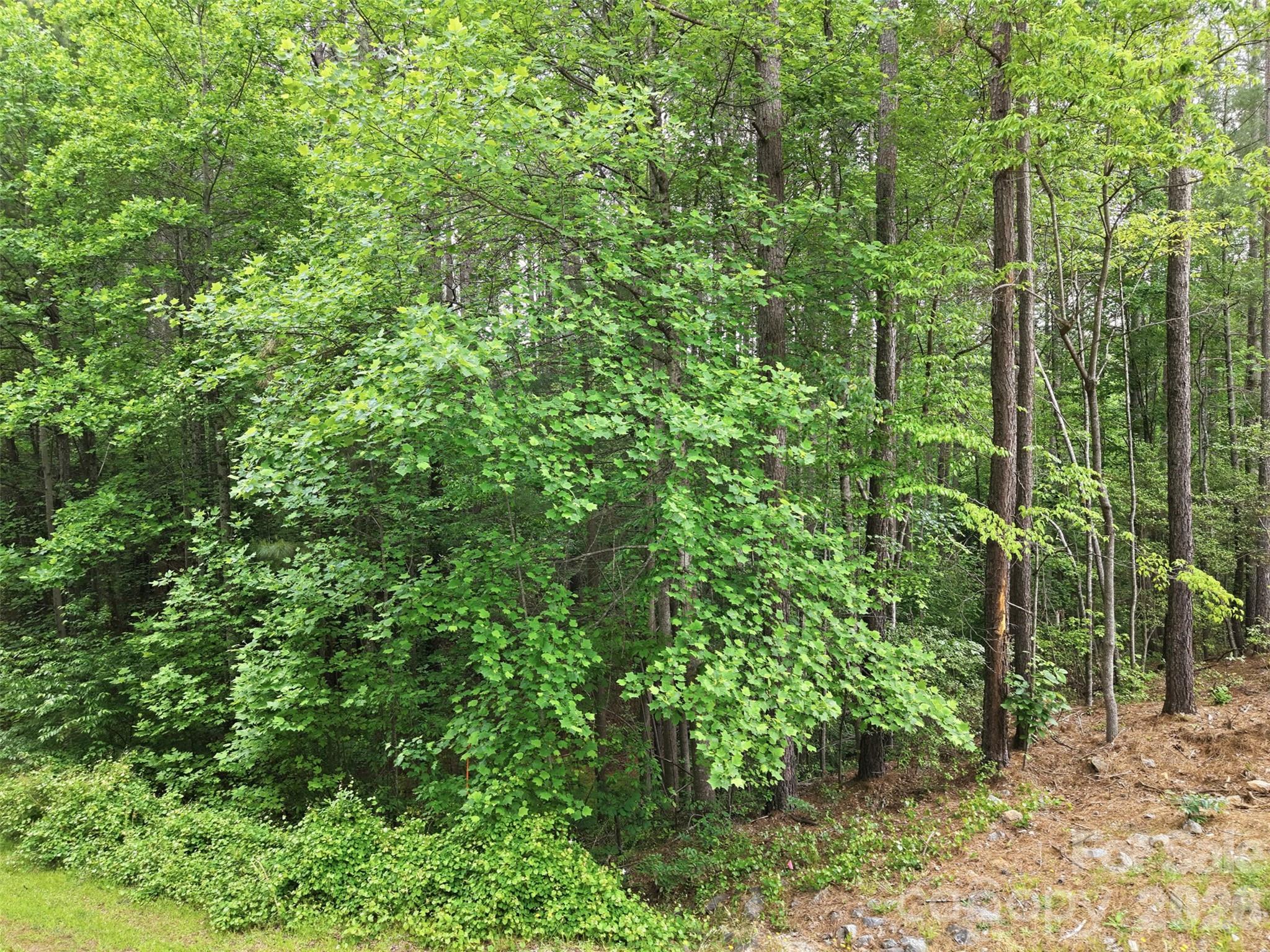 6020 Plantation Pointe Drive Granite Falls NC 28630