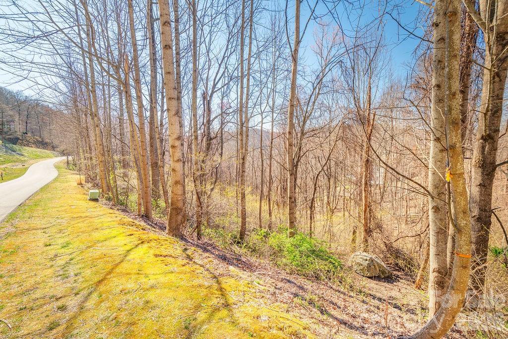 461 Somersby Parkway Hendersonville NC 28739