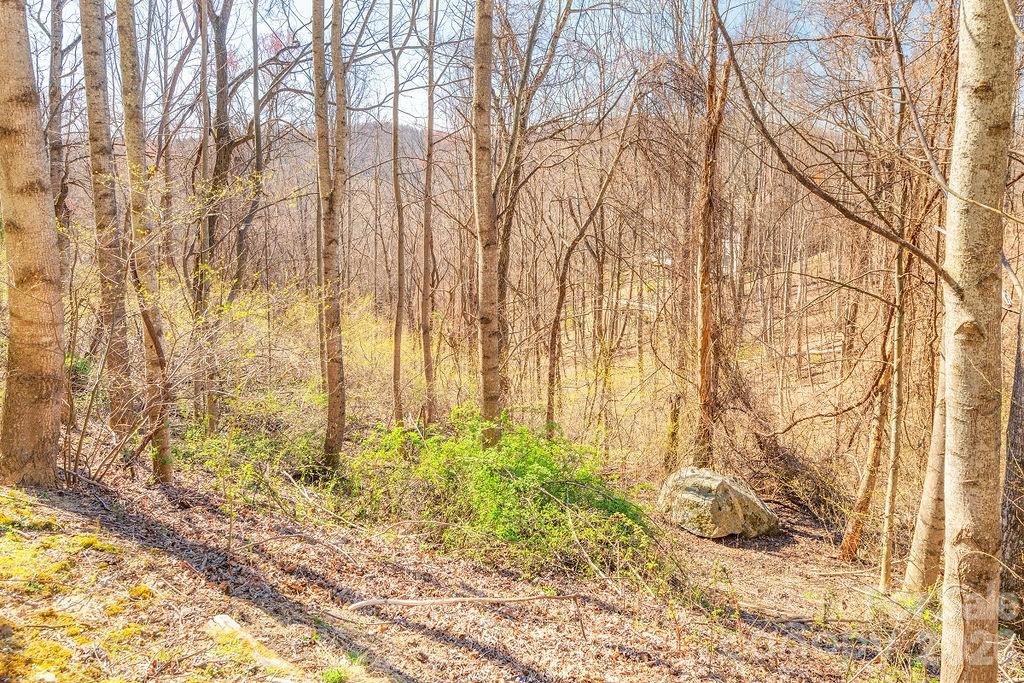 461 Somersby Parkway Hendersonville NC 28739