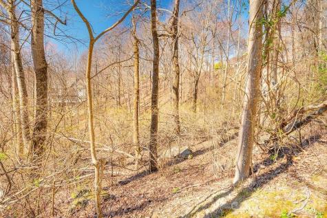 461 Somersby Parkway Hendersonville NC 28739