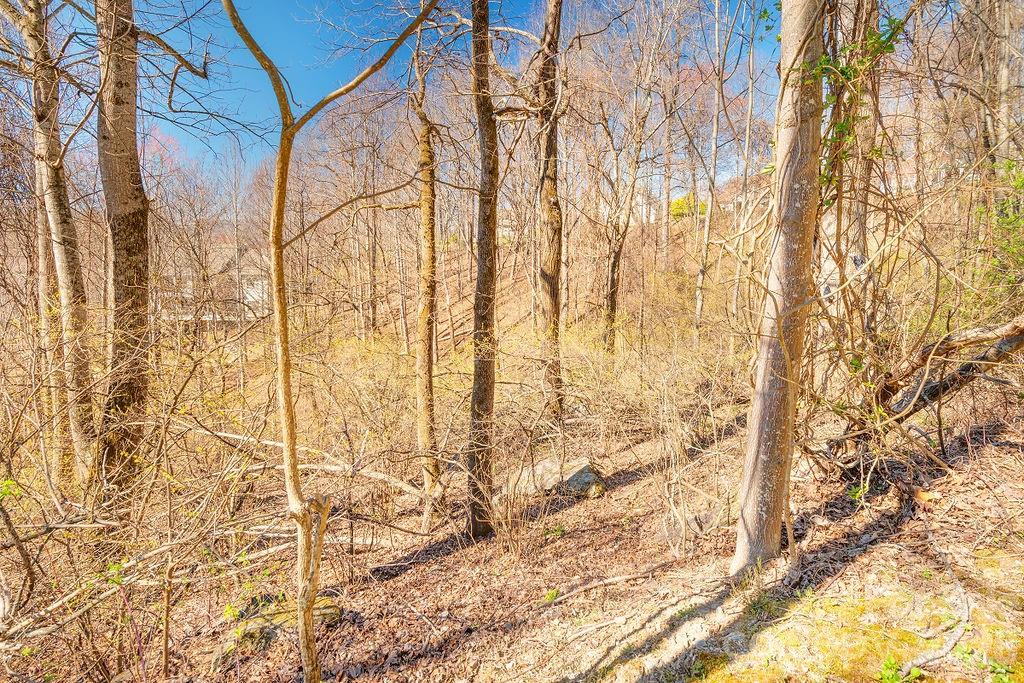 461 Somersby Parkway Hendersonville NC 28739