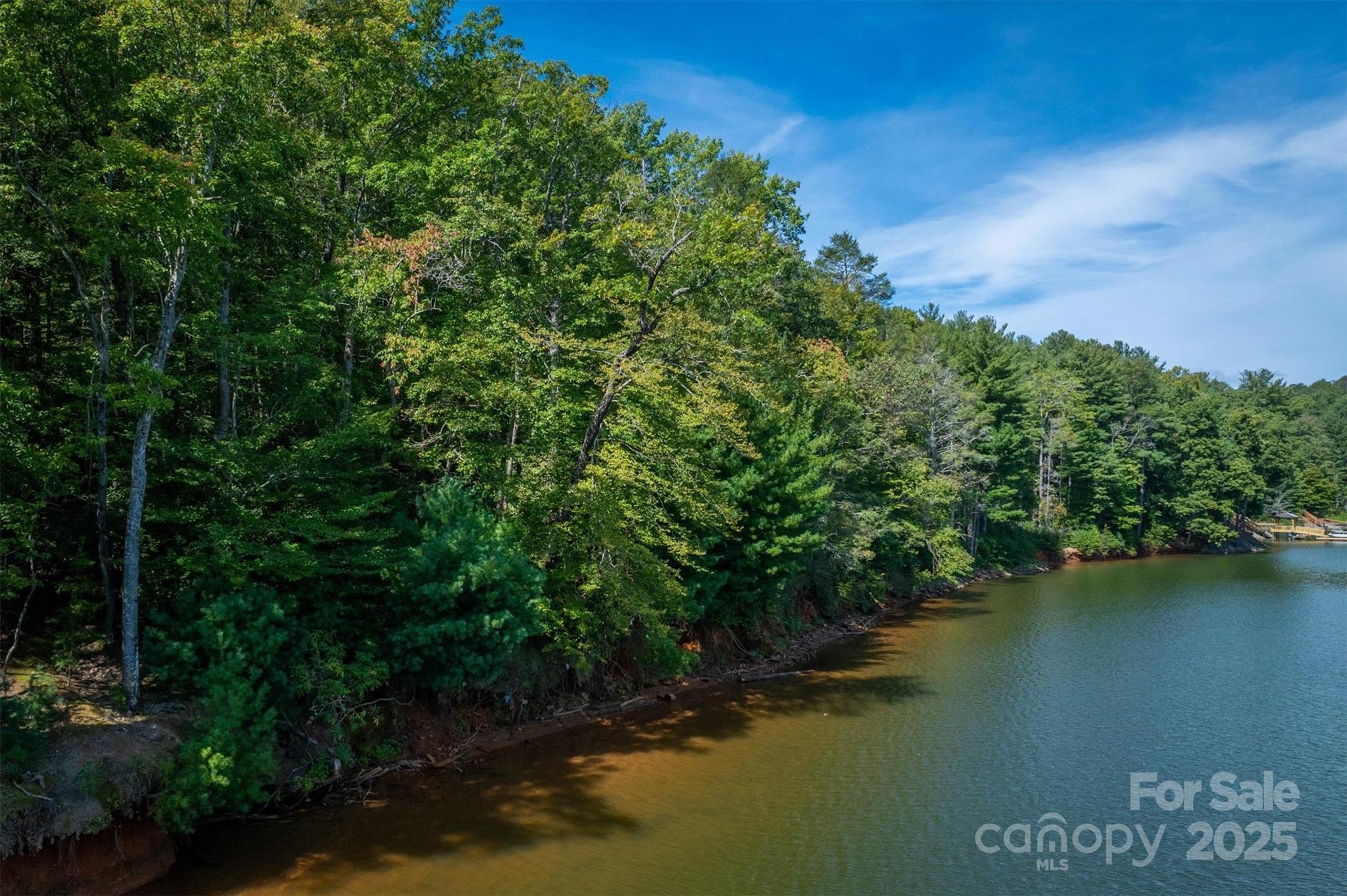 2205 Black Forest Drive Marion NC 28752