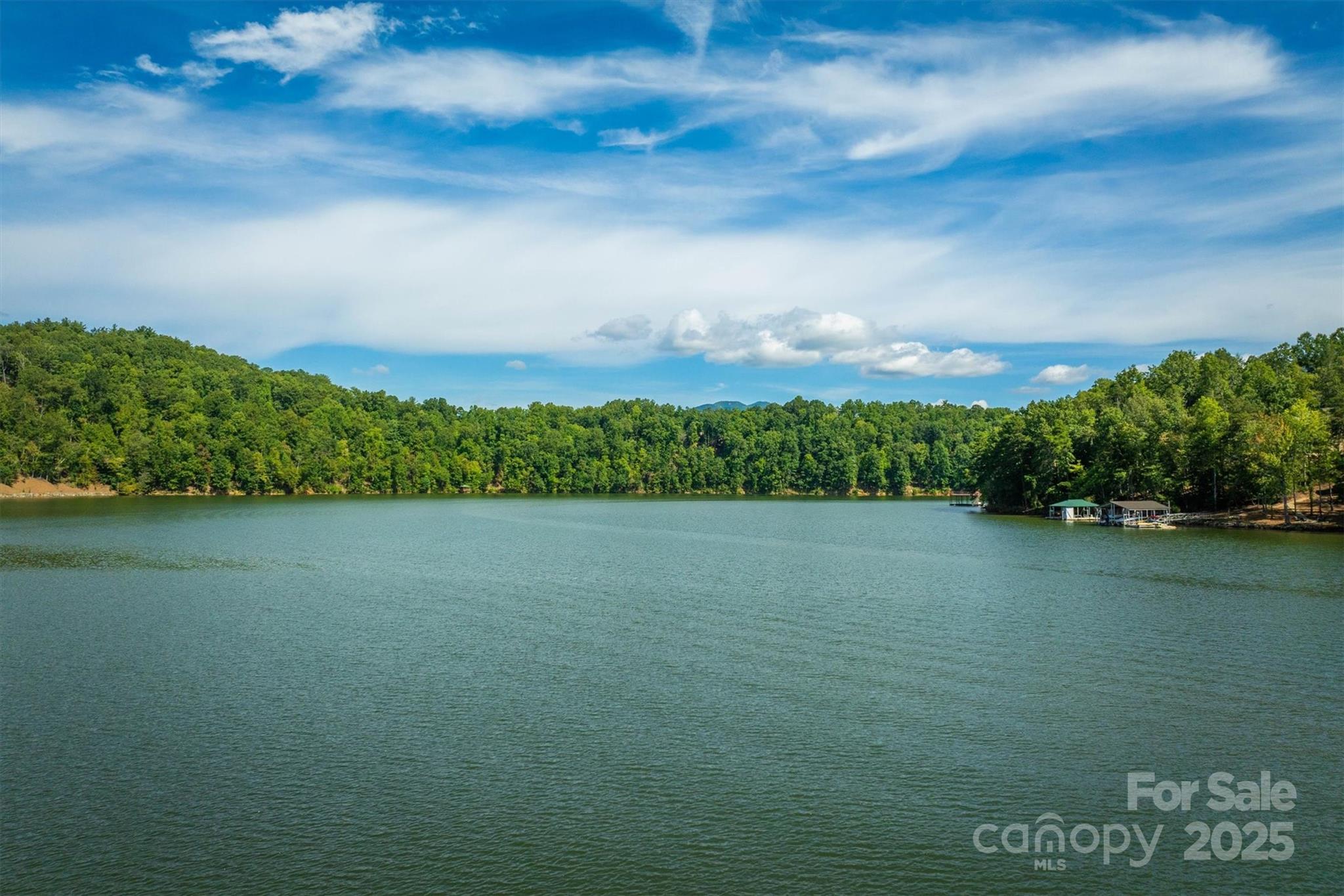 2205 Black Forest Drive Marion NC 28752