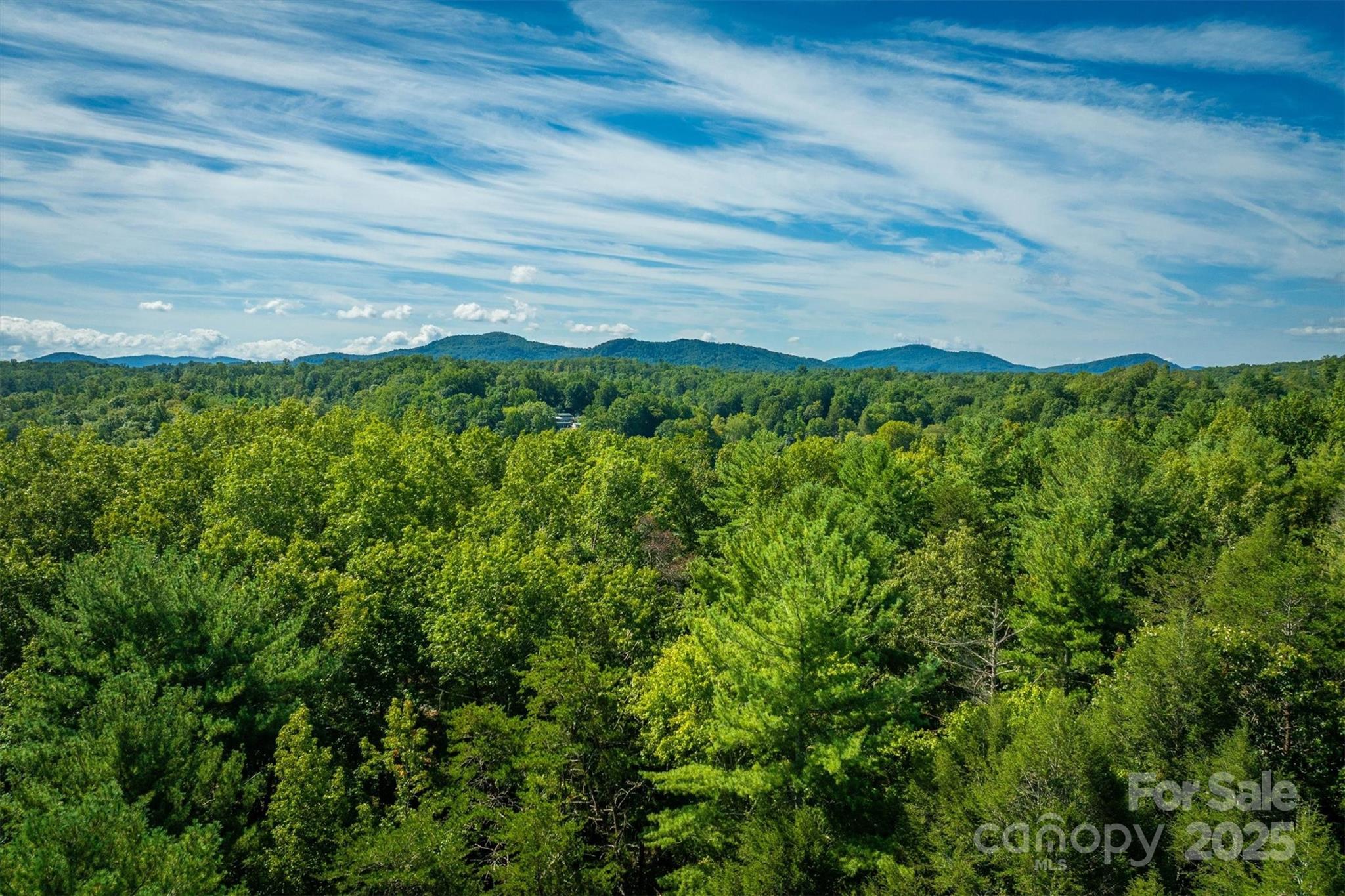 2205 Black Forest Drive Marion NC 28752