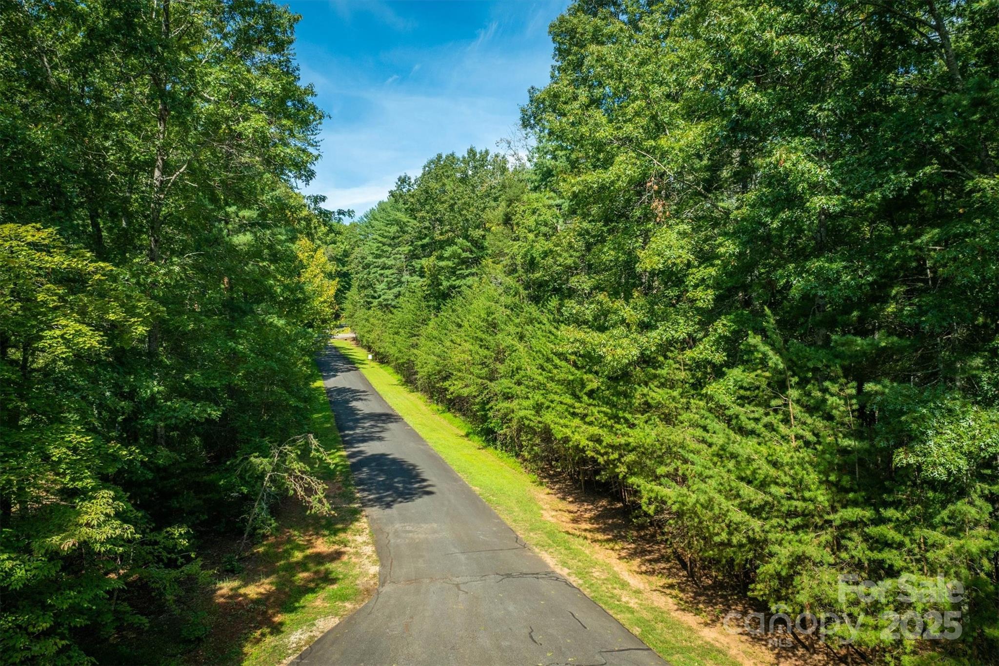 2205 Black Forest Drive Marion NC 28752