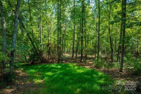 2205 Black Forest Drive Marion NC 28752