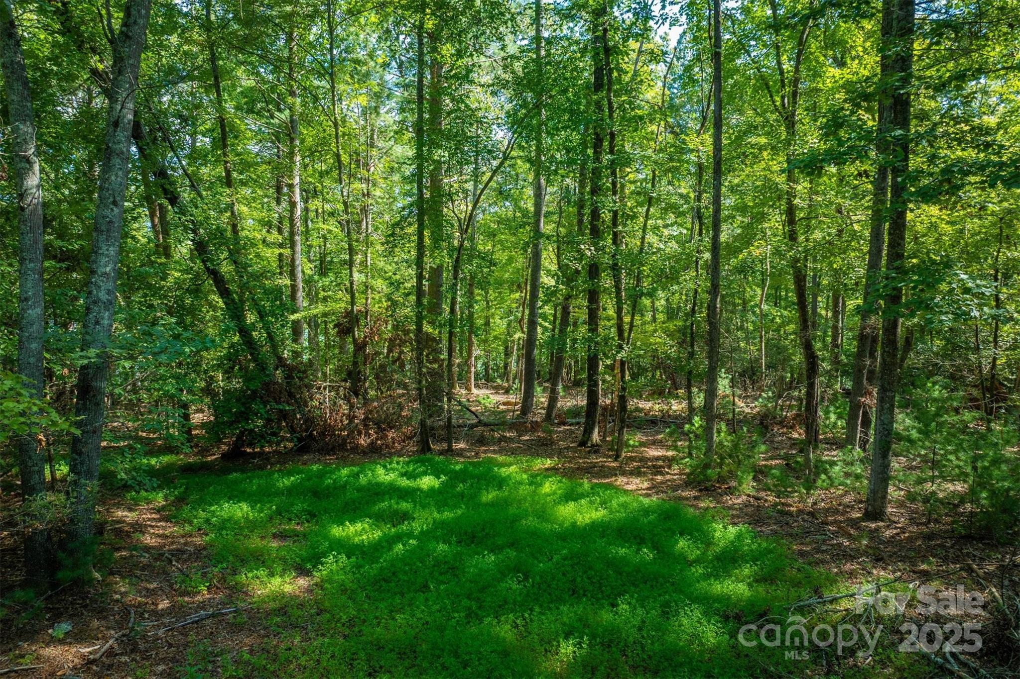 2205 Black Forest Drive Marion NC 28752