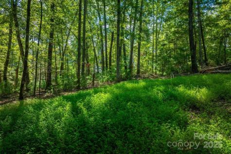 2205 Black Forest Drive Marion NC 28752