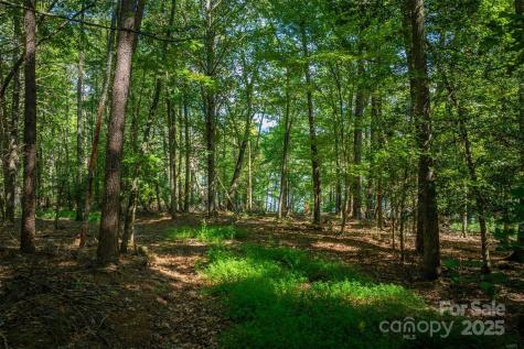 2205 Black Forest Drive Marion NC 28752