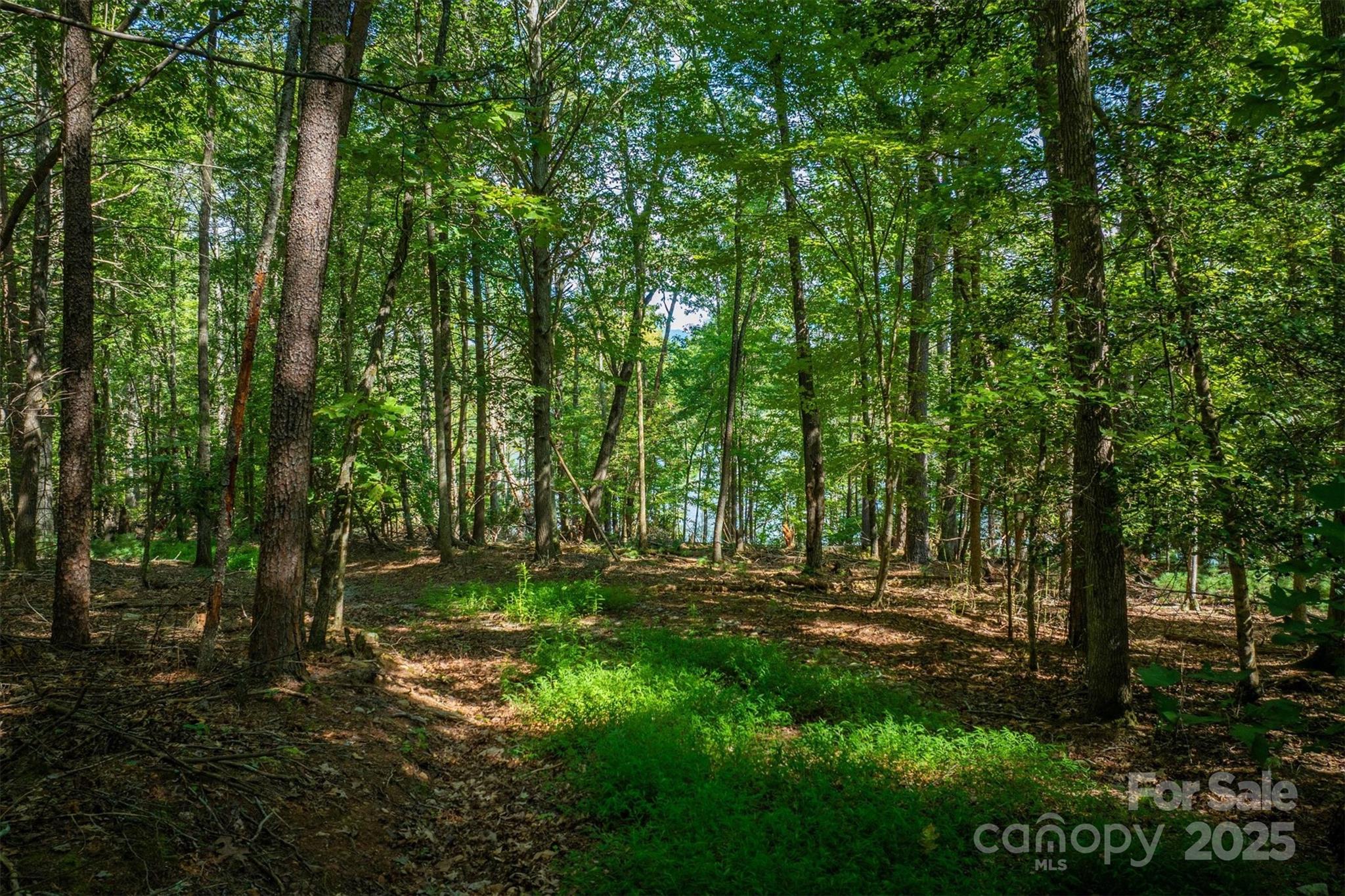 2205 Black Forest Drive Marion NC 28752