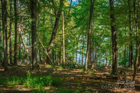 2205 Black Forest Drive Marion NC 28752