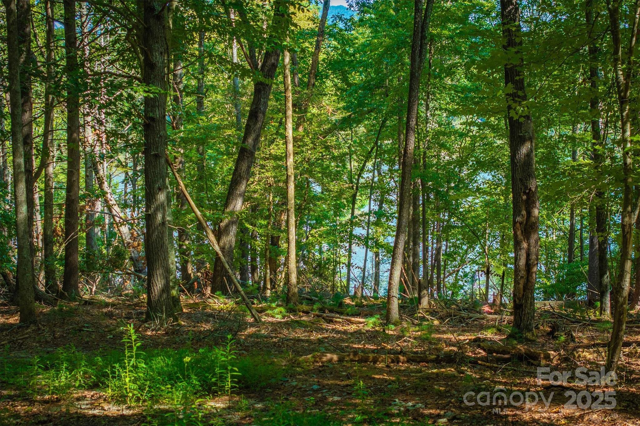 2205 Black Forest Drive Marion NC 28752