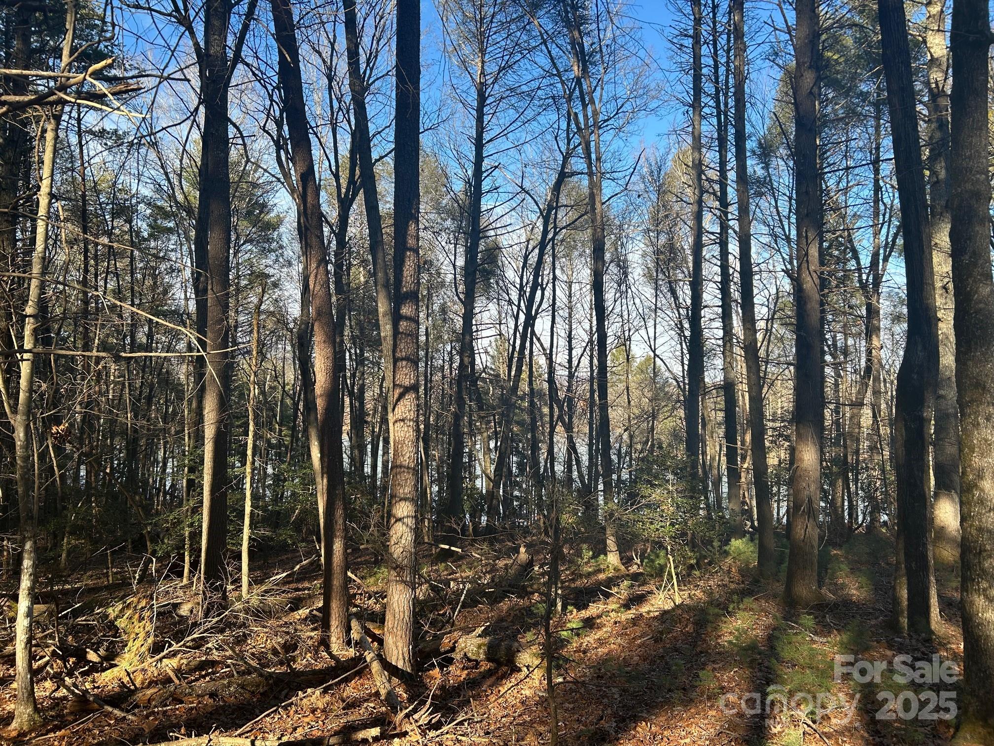 2205 Black Forest Drive Marion NC 28752