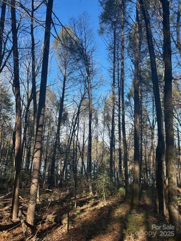 2205 Black Forest Drive Marion NC 28752