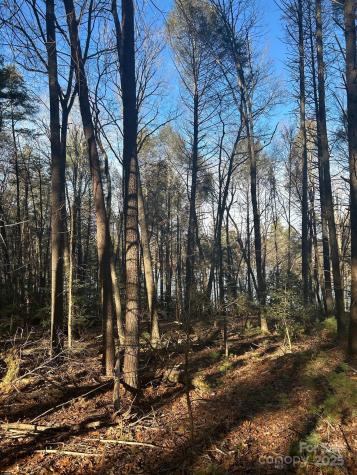 2205 Black Forest Drive Marion NC 28752