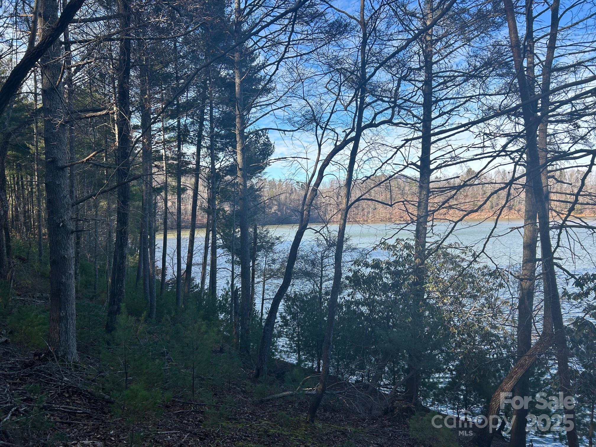 2205 Black Forest Drive Marion NC 28752