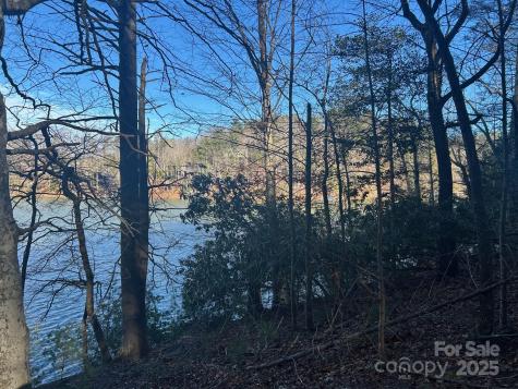 2205 Black Forest Drive Marion NC 28752