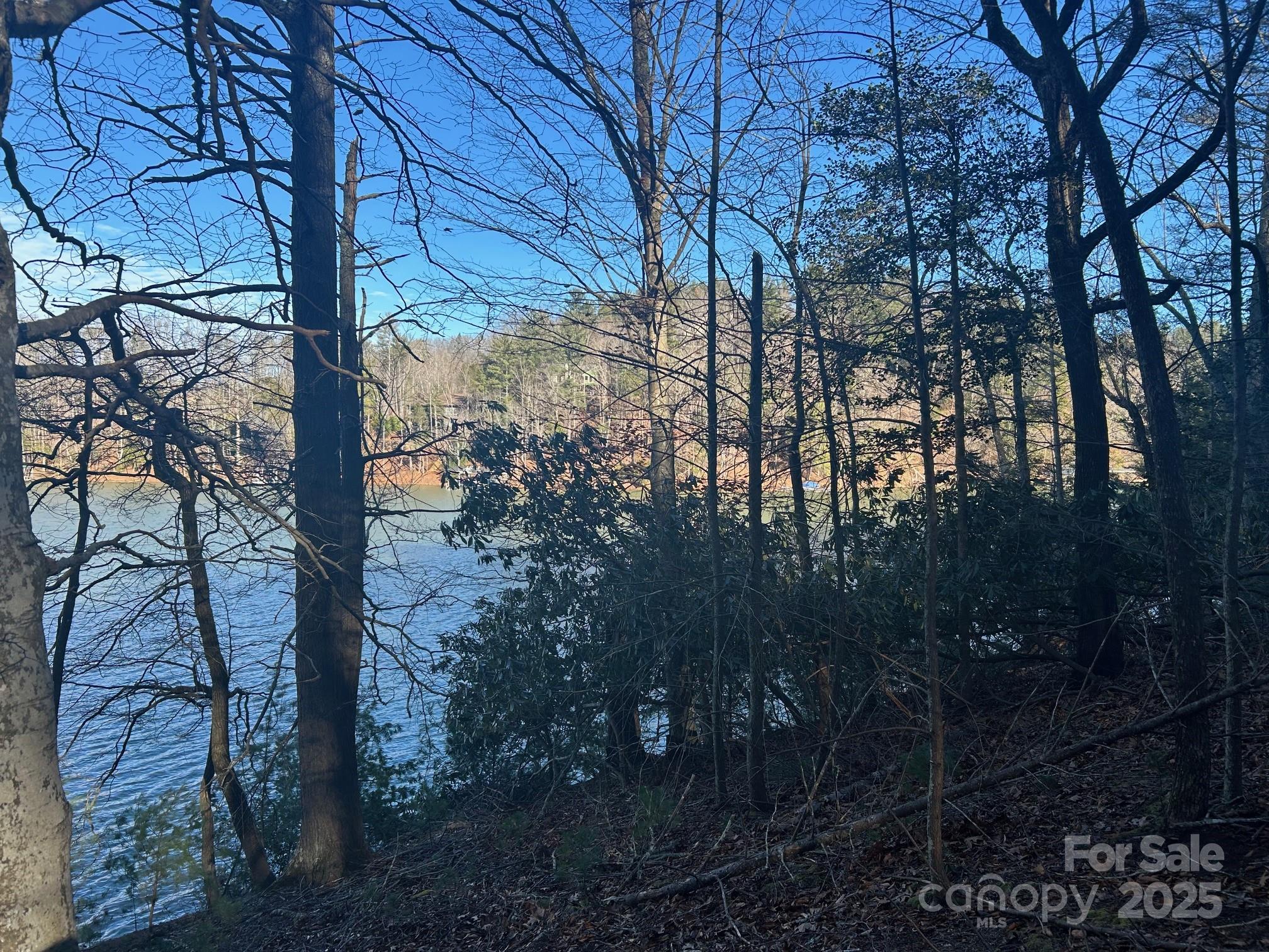 2205 Black Forest Drive Marion NC 28752