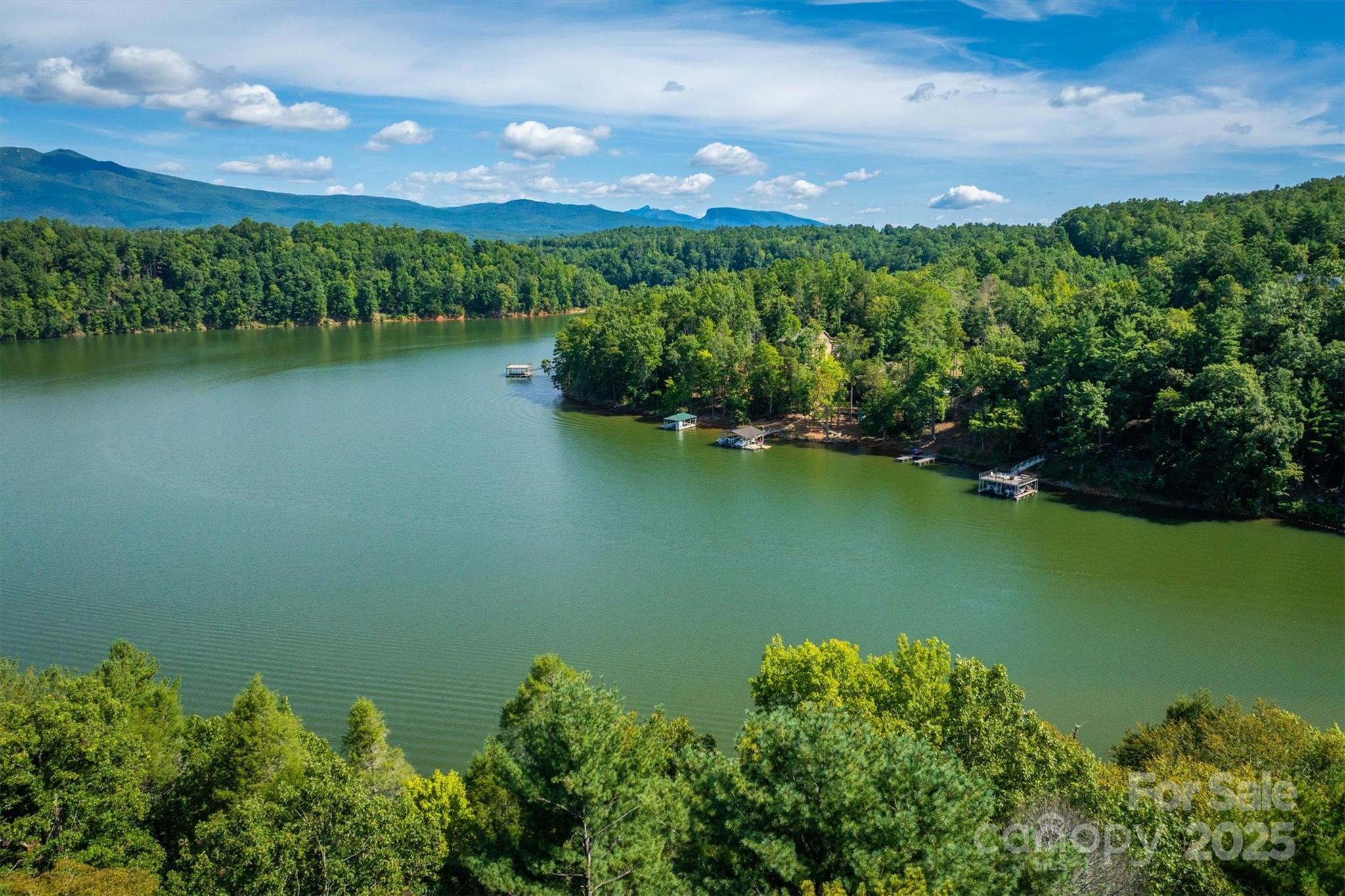 2205 Black Forest Drive Marion NC 28752