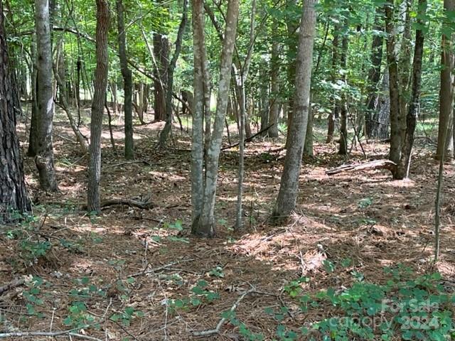 0000 Stillwater Drive Granite Falls NC 28630