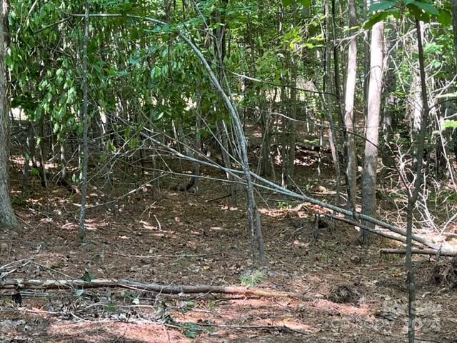 0000 Stillwater Drive Granite Falls NC 28630
