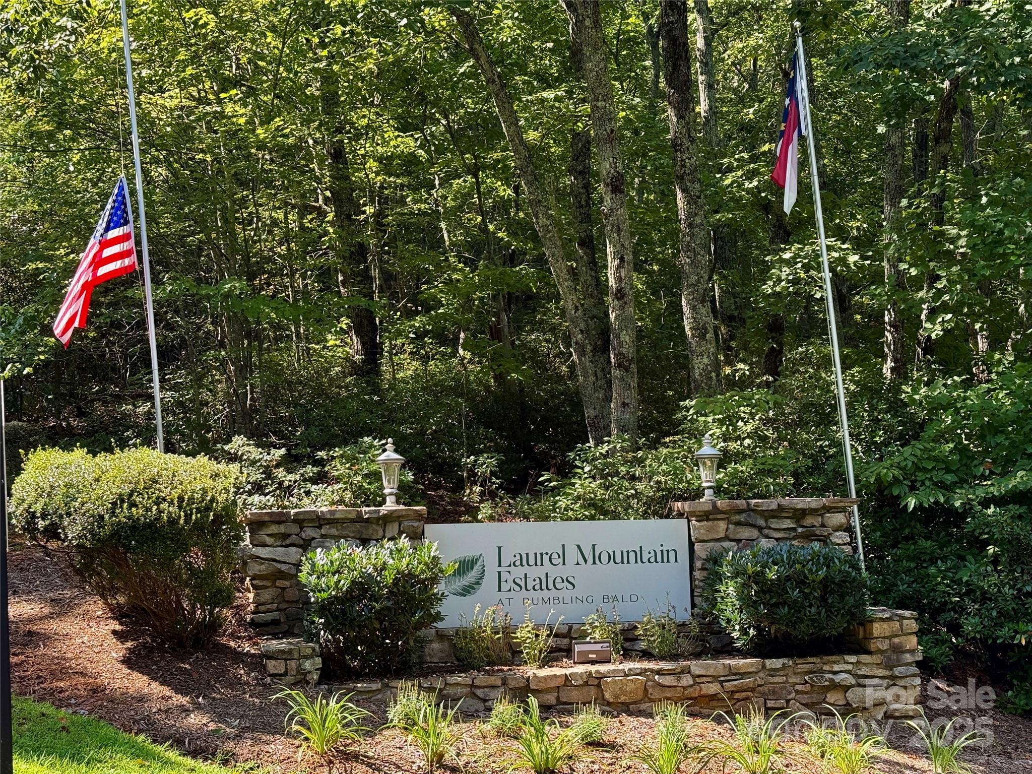 0 Hibiscus Court Lake Lure NC 28746