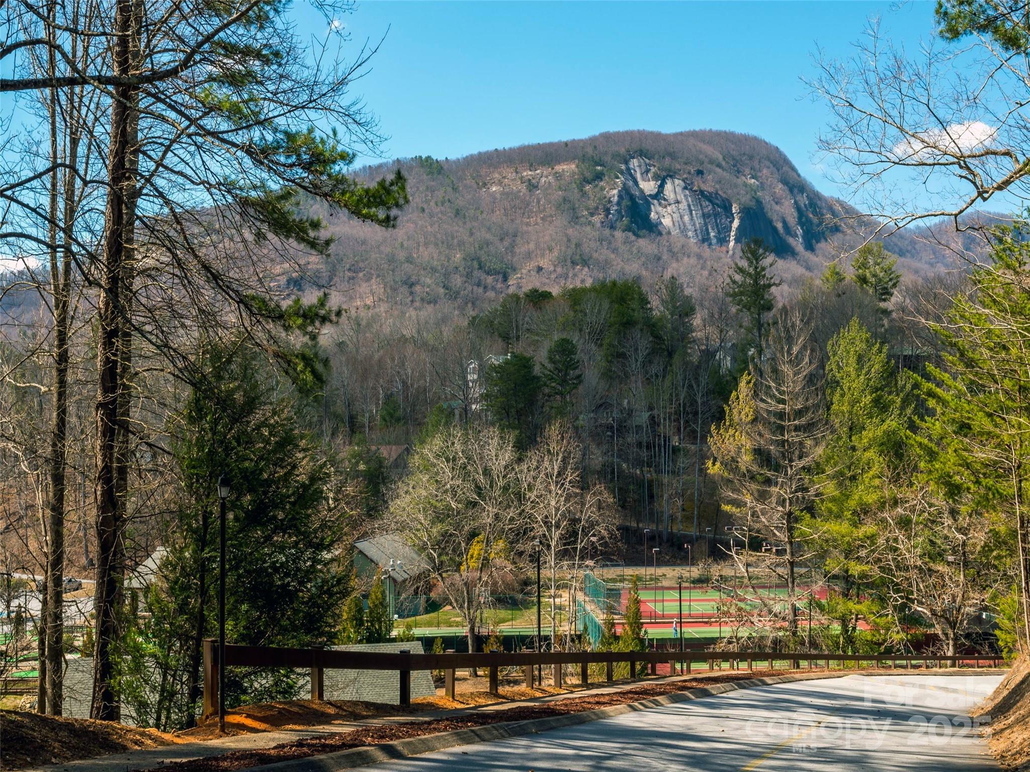 0 Hibiscus Court Lake Lure NC 28746
