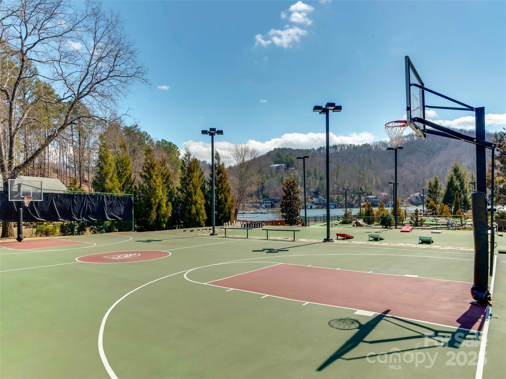 0 Hibiscus Court Lake Lure NC 28746