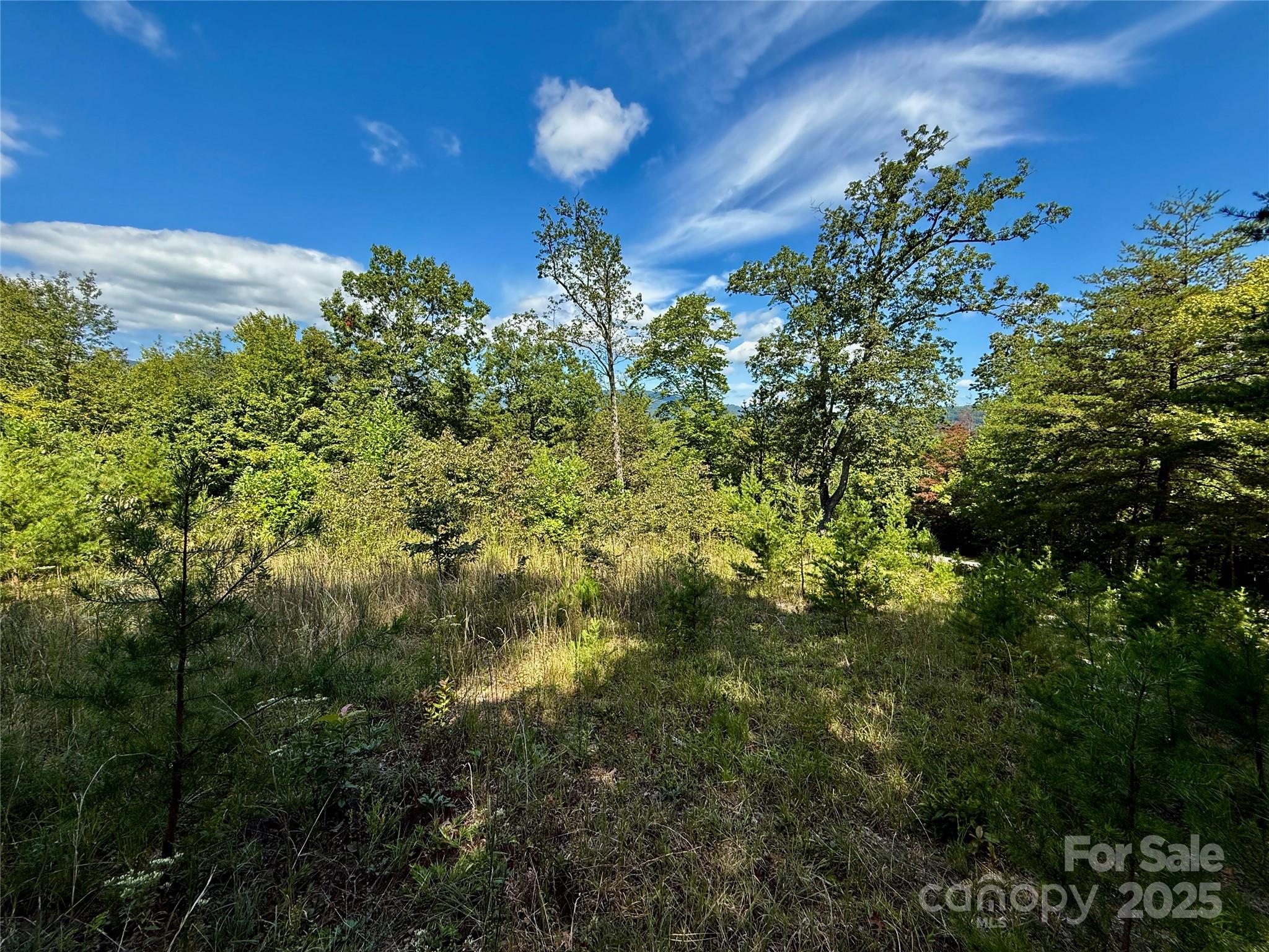 0 Hibiscus Court Lake Lure NC 28746