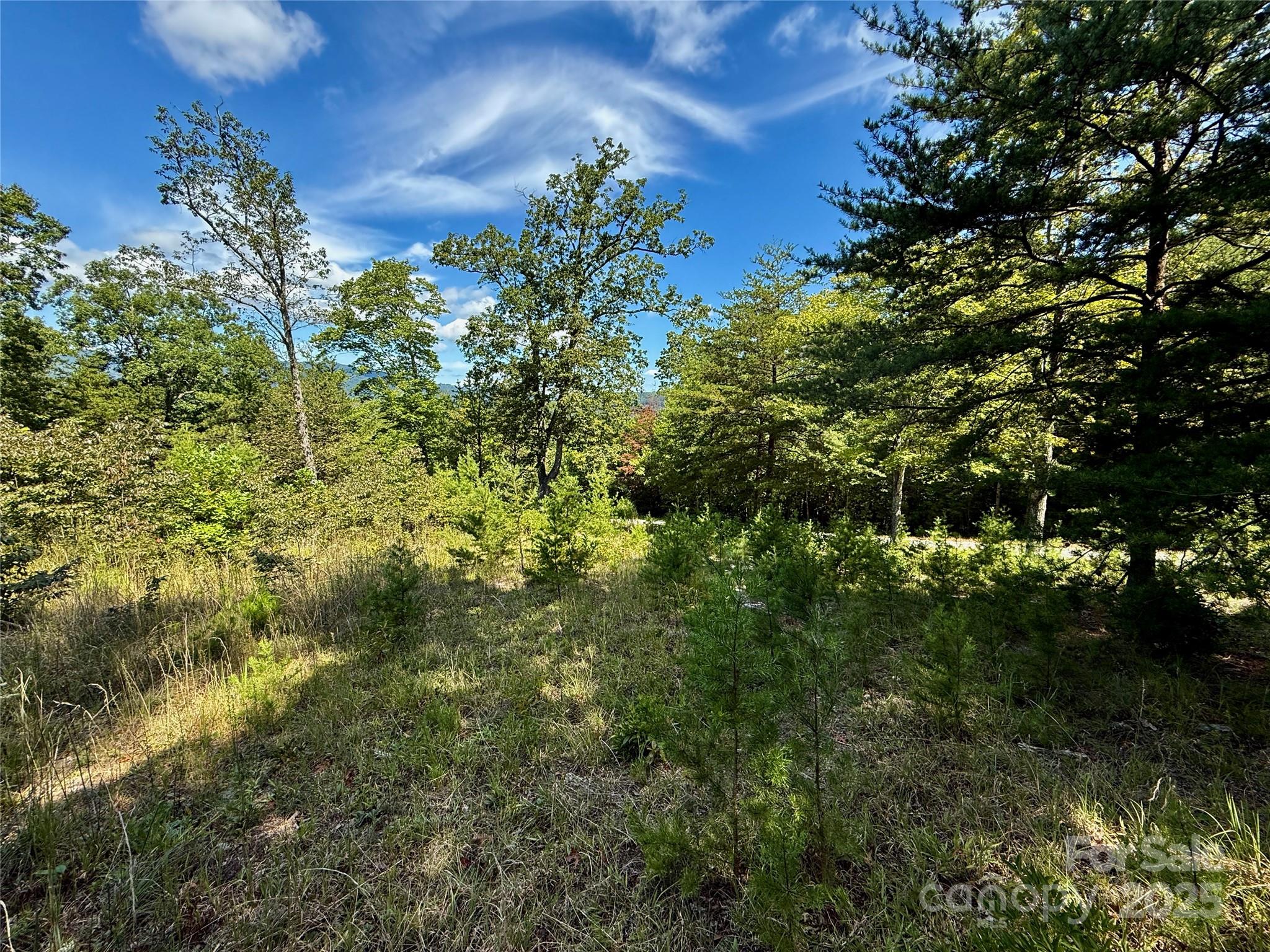 0 Hibiscus Court Lake Lure NC 28746