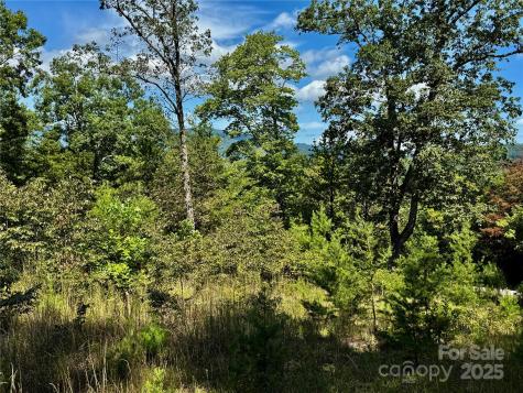 0 Hibiscus Court Lake Lure NC 28746