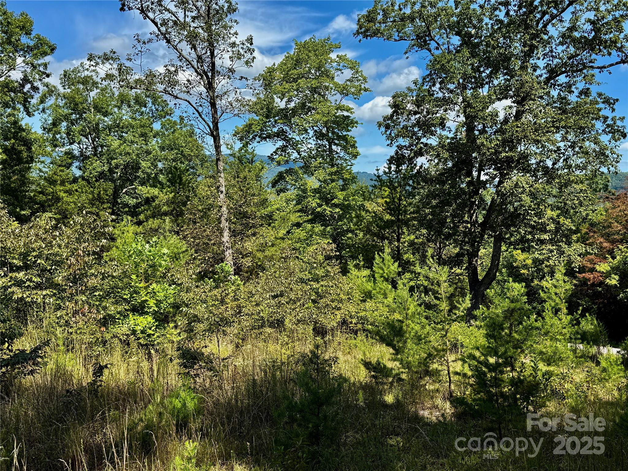 0 Hibiscus Court Lake Lure NC 28746