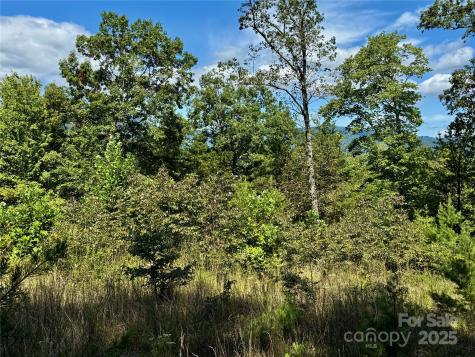 0 Hibiscus Court Lake Lure NC 28746