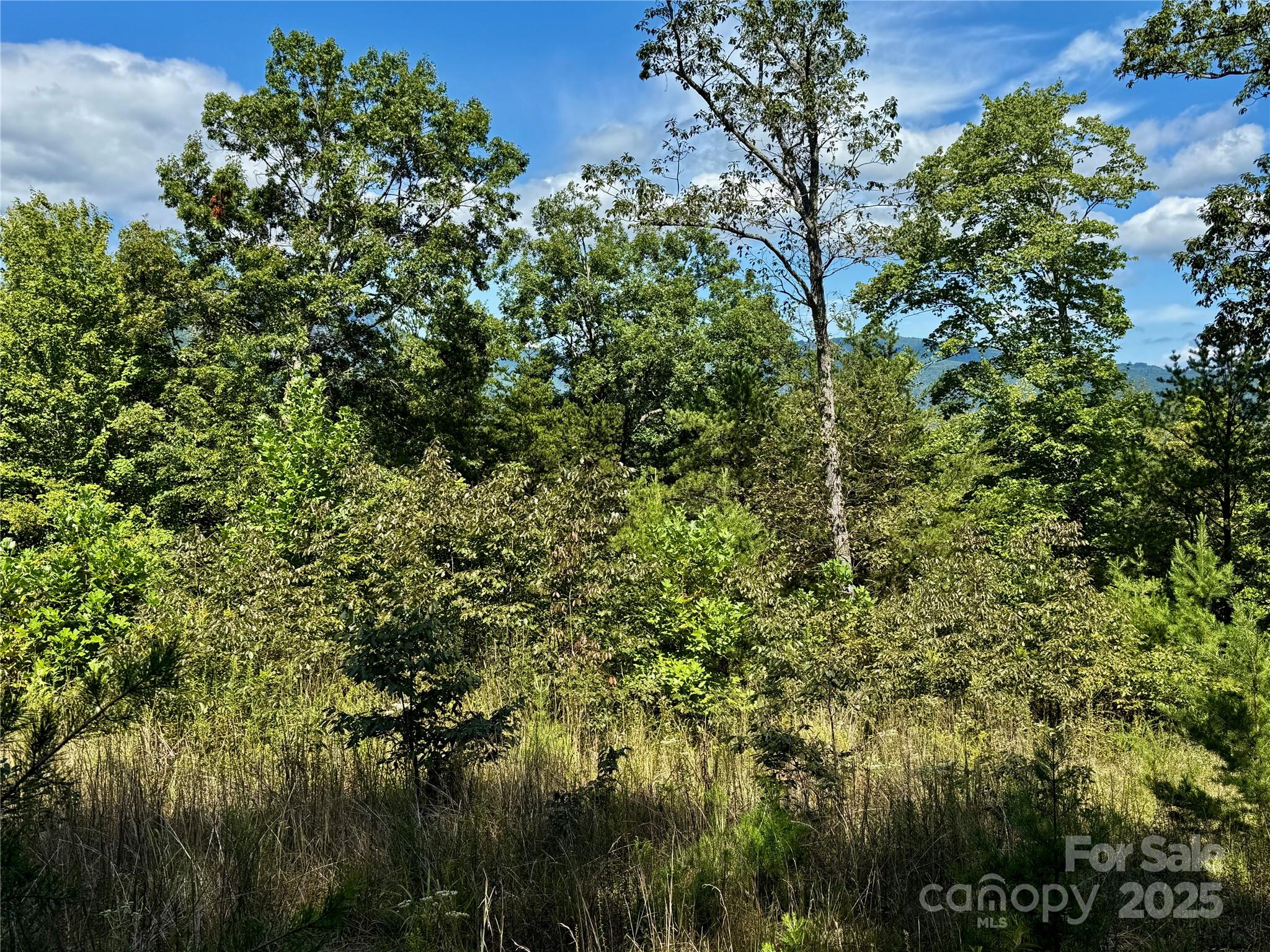 0 Hibiscus Court Lake Lure NC 28746