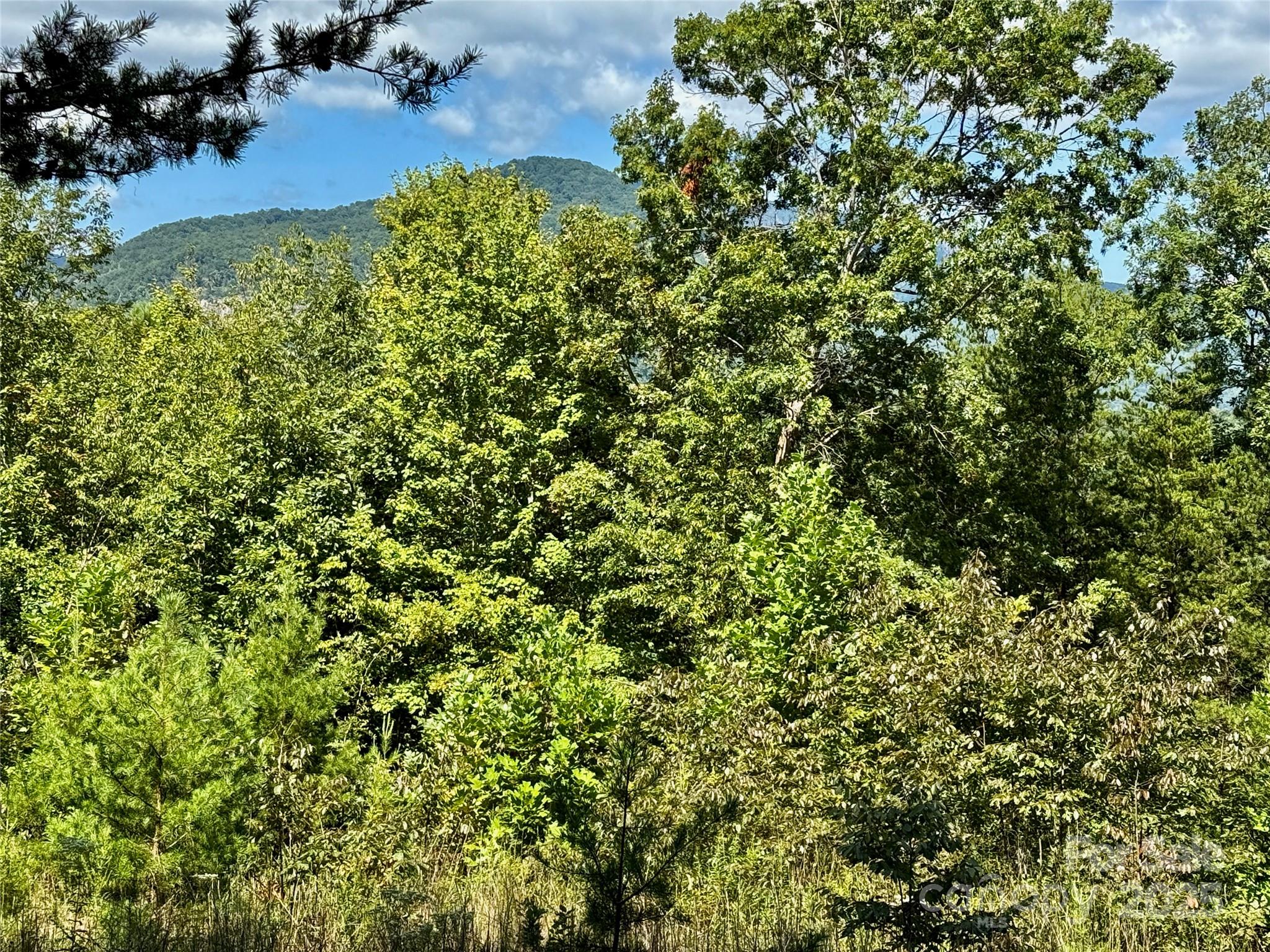 0 Hibiscus Court Lake Lure NC 28746