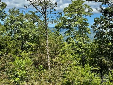 0 Hibiscus Court Lake Lure NC 28746