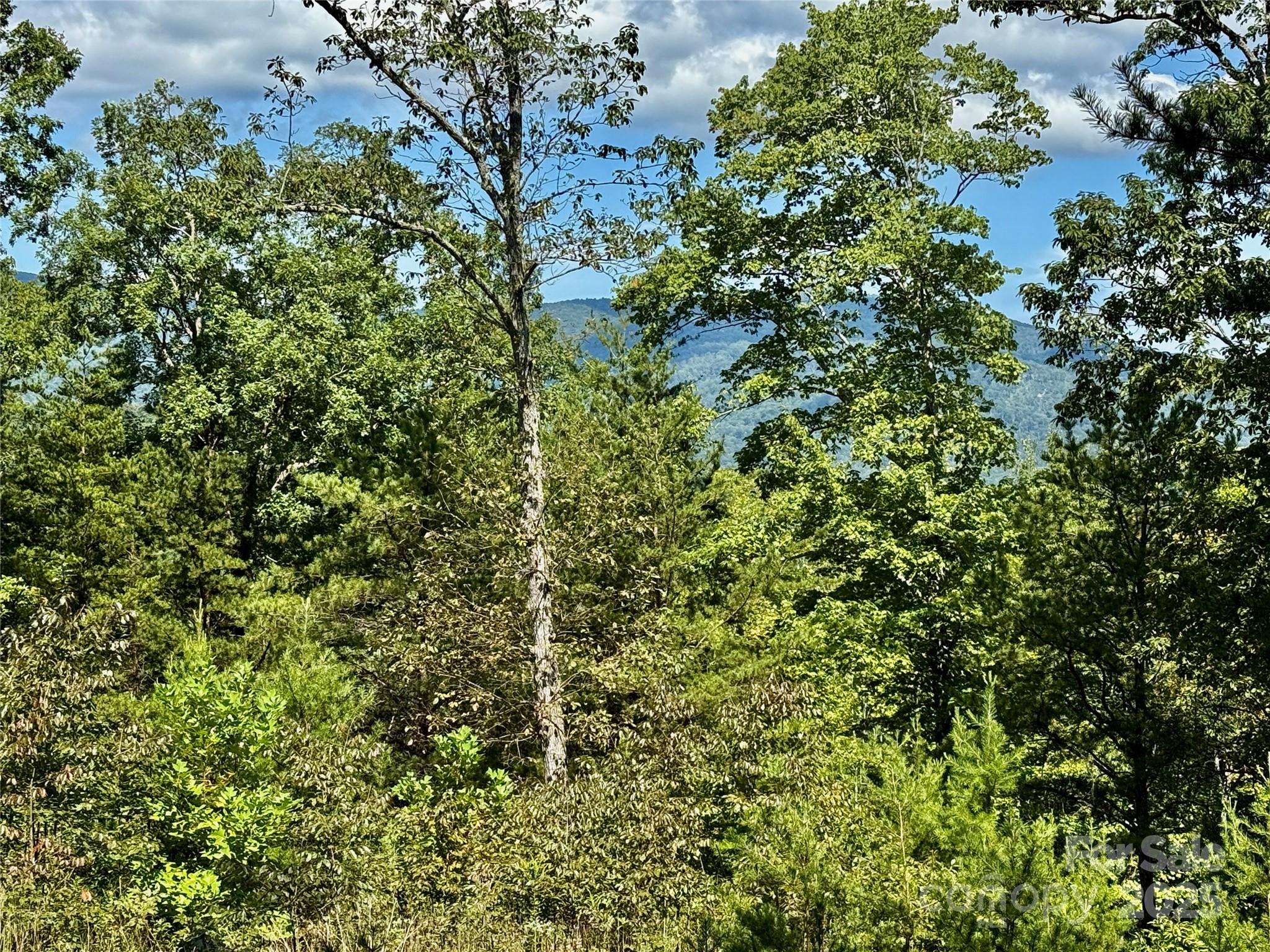 0 Hibiscus Court Lake Lure NC 28746