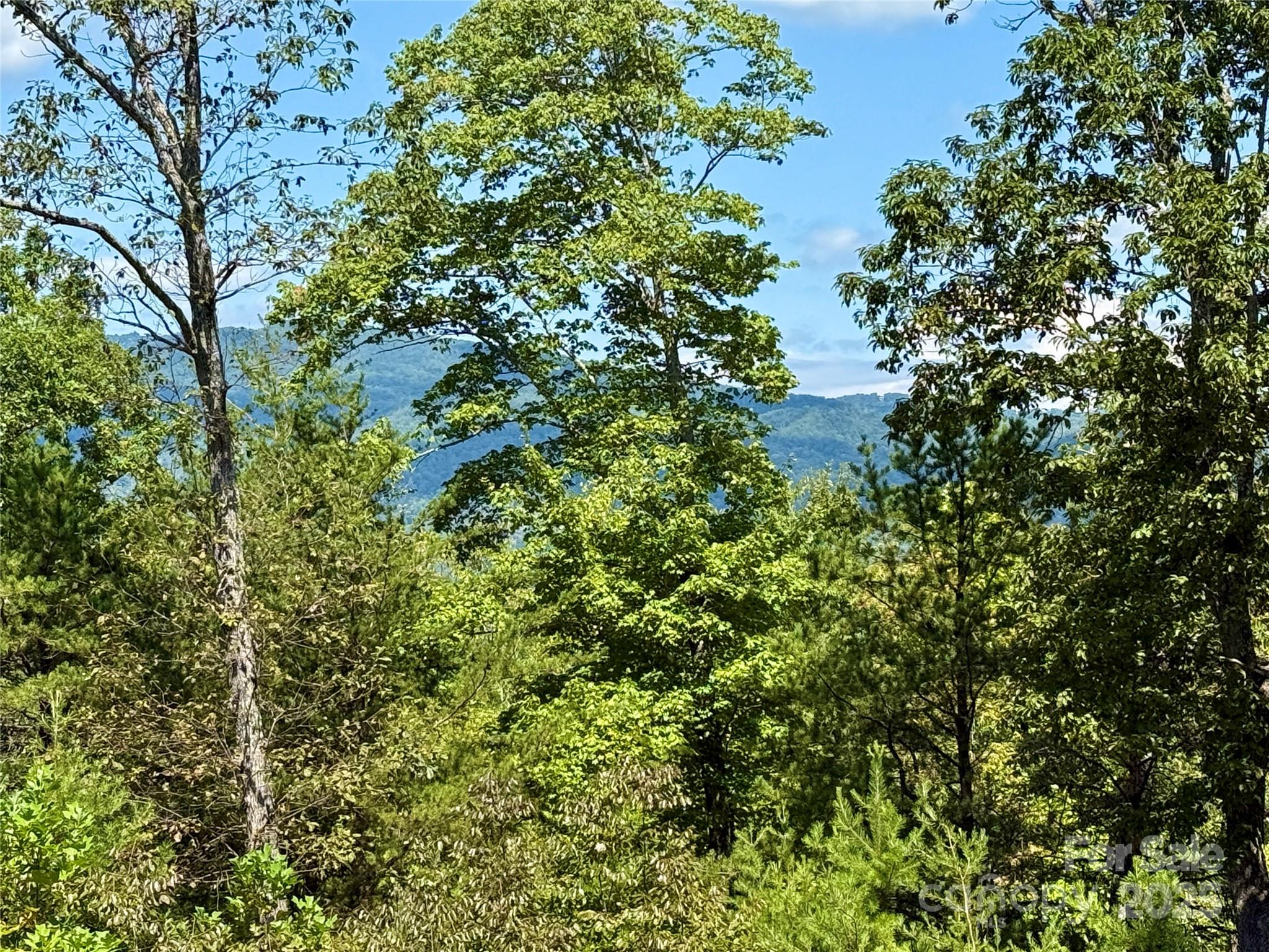 0 Hibiscus Court Lake Lure NC 28746