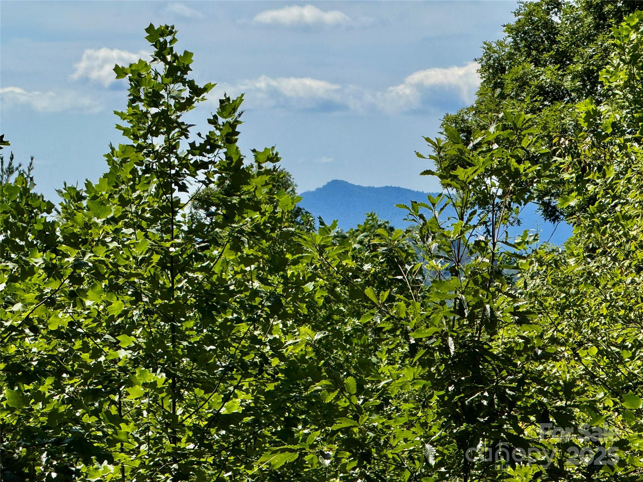 0 Hibiscus Court Lake Lure NC 28746