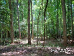 Lot 7 Frith Drive Asheville NC 28803