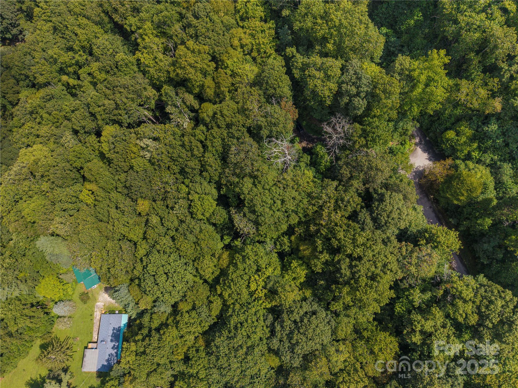 Lot 60 Chesten Mountain Drive Asheville NC 28803