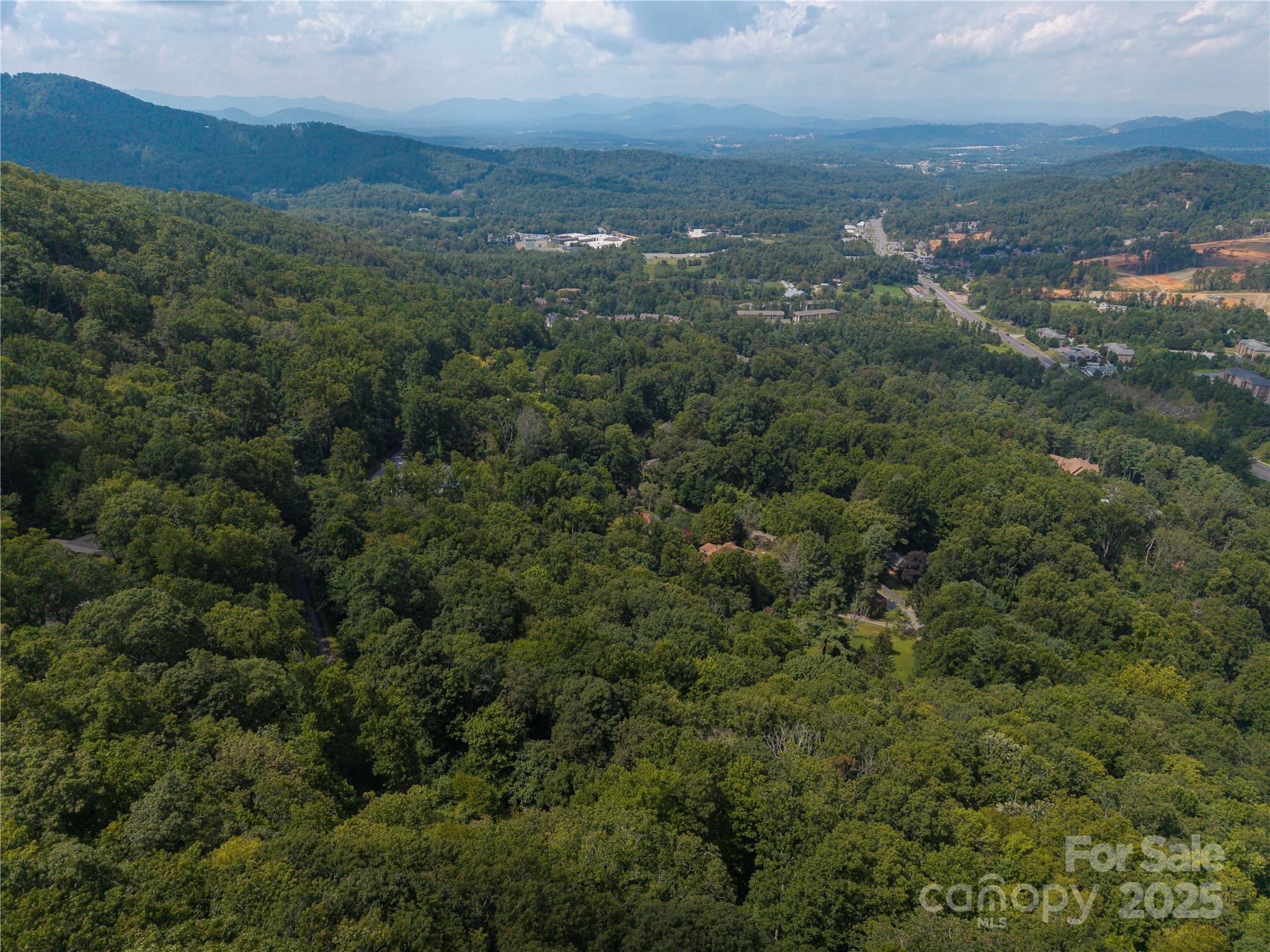 Lot 60 Chesten Mountain Drive Asheville NC 28803