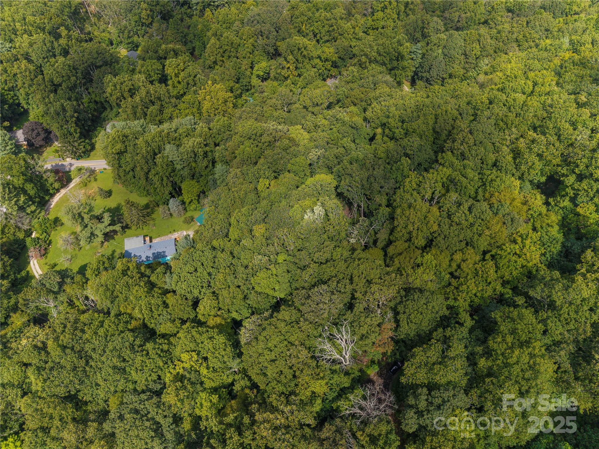 Lot 60 Chesten Mountain Drive Asheville NC 28803