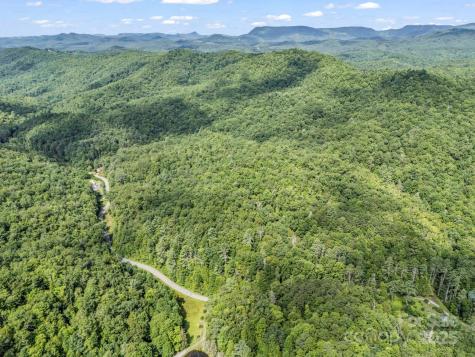 Tbd Frozen Creek Road Brevard NC 28712